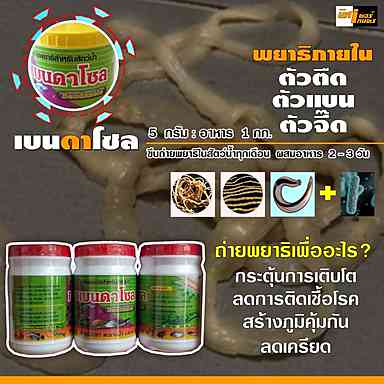 เบนดาโซล ยาถ่ายพยาธิภายในสัต์น้ำ